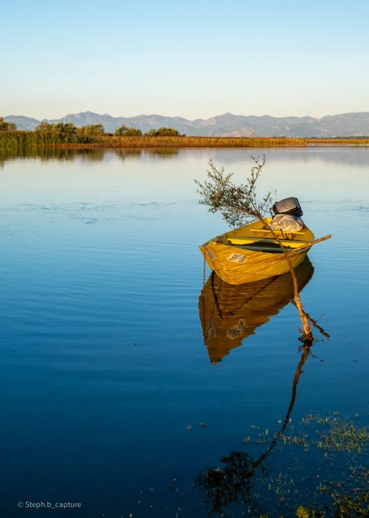 Lake Shkodër