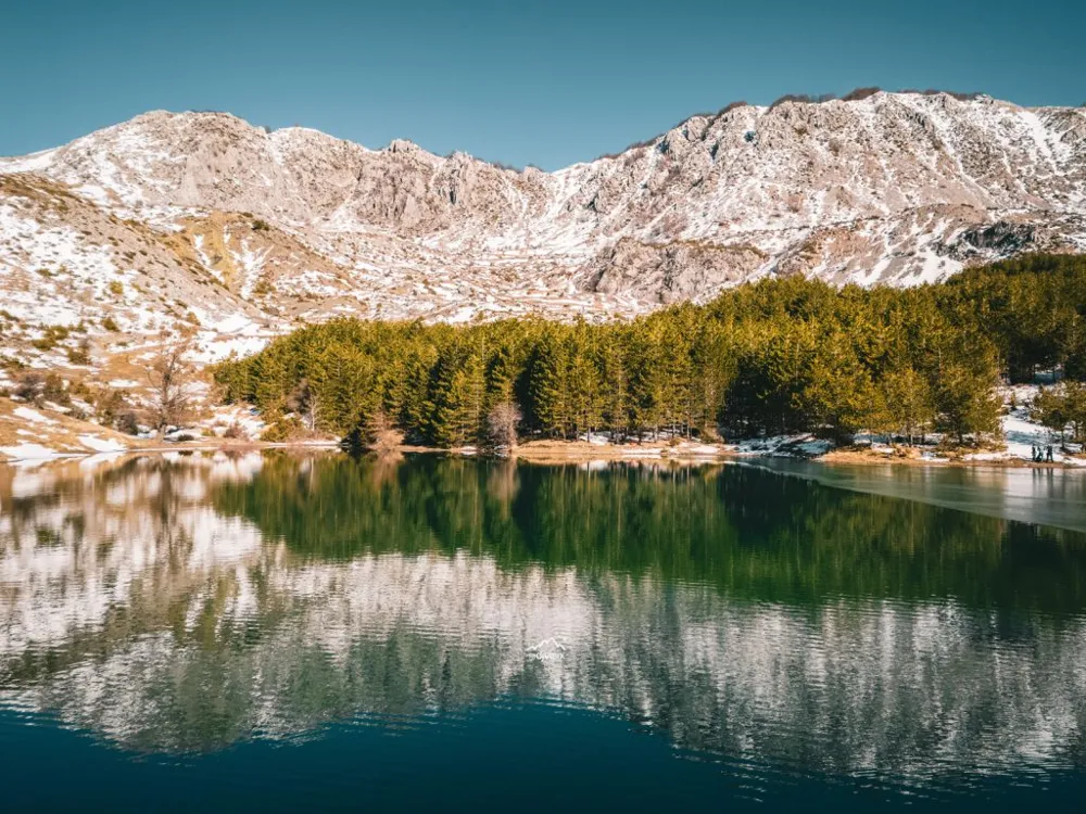 Shëngjergj