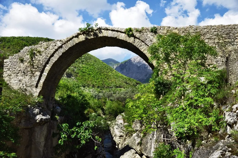 Brar Bridge